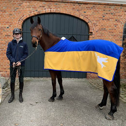 Produktbild von Euroriding Ukraine Spendendecke Abschwitzdecke
