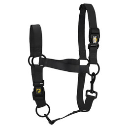 Produktbild von Excellent Horse Essential Halfter schwarz Größe L