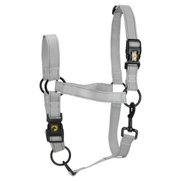 Produktbild von Excellent Horse Premium Halfter grau Größe L