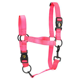 Produktbild von Excellent Horse Premium Halfter rosa Größe L