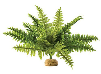 Produktbild von Exo Terra Boston Farn künstliche Terrarienpflanze mittel