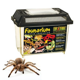 Produktbild von Exo Terra Faunarium Allzweckbehälter klein