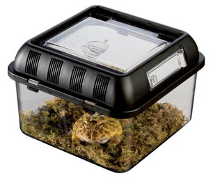 Produktbild von Exo Terra Faunarium flach groß