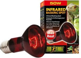 Exo Terra Infrared Basking Spot Wärmespotlampe R20 50W E27 - 50 Stk. – Bild 1 von 3
