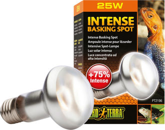 Exo Terra Intense Basking Spot Wärmespotlampe 25W E27 – Bild 1 von 4