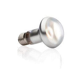 Produktbild von Exo Terra Intense Basking Spot Wärmespotlampe 50W - 1 Stk.