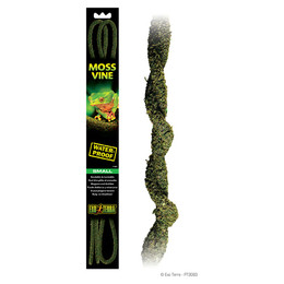 Produktbild von Exo Terra Moos Liane klein