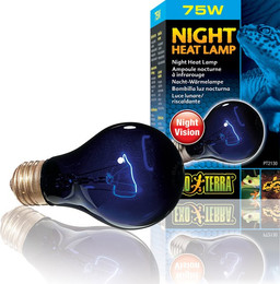 Produktbild von Exo Terra Night Heat Lamp Mondscheinlampe 75W - 75 Stk.
