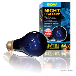 Exo Terra Night Heat Lamp Mondscheinlampe A19 50 W 230 V - 50 Stk. – Bild 1 von 6