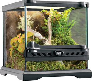 Produktbild von Exo Terra Reptilien Terrarium aus Glas 20x20x20cm