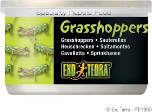 Produktbild von Exo Terra Reptilienfutter Heuschrecken - 34 g