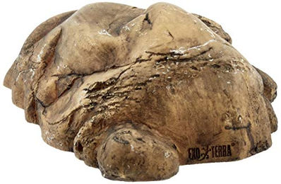 Exo Terra Reptilienhöhle Größe L – Bild 1 von 7