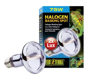Exo Terra Sun Glo Daylight Neodymium Halogen Tageslichtlampe 75 Watt - 75 Stk. – Bild 1 von 4