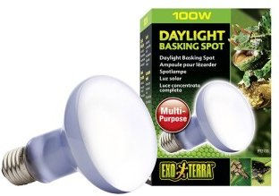 Exo Terra Tageslichtlampe mit Sonnenstrahl 100 W Weiß - 1 Stk. – Bild 1 von 5