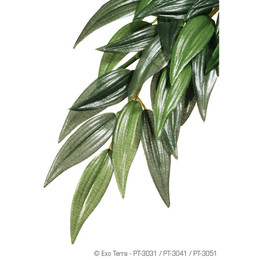 Produktbild von Exo Terra Terrarien-Pflanze Ruscus Medium - 1 Stk.