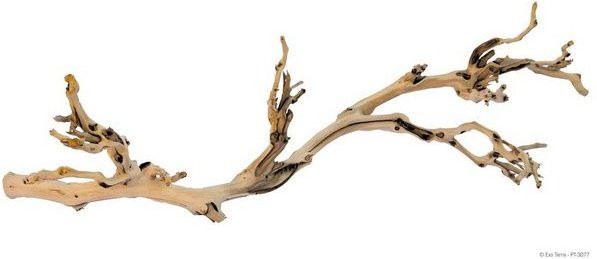 Produktbild von Exo Terra Terrariendeko Forest Branch sandgestrahlte Äste