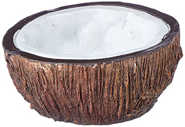 Produktbild von Exo Terra Terrariendeko Tiki Kokosnuss Wassernapf