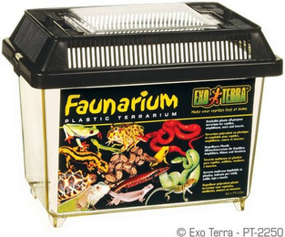 Produktbild von Exo Terra Tiertransportbox Faunarium
