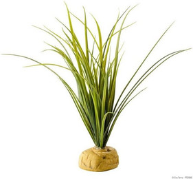 Produktbild von Exo Terra Turtle Grass Terrarien-Pflanze