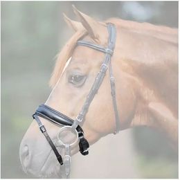 Produktbild von Extra großes Reithalfter mit Kurbel Kavalkade