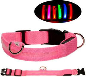 Produktbild von Eyecatcher Hunde-Halsband Leuchtendes aufladbares Hundehalsband Rosa Pink einstellbar