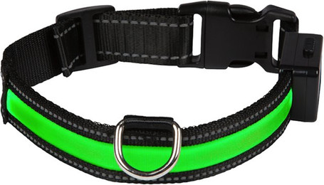 Produktbild von Eyenimal USB LED Leuchthalsband Grün Größe L