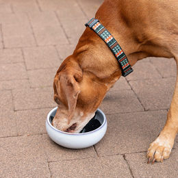 Eat Slow Live Longer Gobble Stopper Antischling-Einsatz aus Silikon für Hunde und Katzen in Grau – Bild 1 von 6