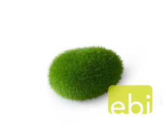 ebi Aqua Della Moos Ball Kunstpflanze für Süßwasser Aquarien in Grün – Bild 1 von 2