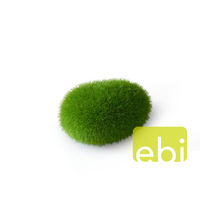 Produktbild von ebi Aqua Della Moos Ball Kunstpflanze für Süßwasser Aquarien in Grün