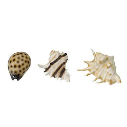 ebi Aquarium Figur und Höhle für Fische bunt – Bild 1 von 4