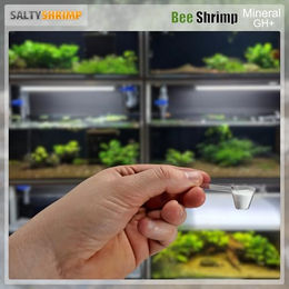 ebi Bee Shrimp Mineral GH+ Mineralsalz zur Anhebung der Gesamthärte für Bienen-, Hummel- und Tigergarnelen 850g - 850 g – Bild 1 von 7