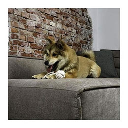 EBI D&D Home Harper Ball Hundespielzeug aus Baumwolle mit Schlaufe Beige 27 cm – Bild 1 von 3