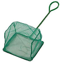 Produktbild von EBI Kescher U-Form fein für Fische in Grün aus Kunststoff 25 cm - 25 cm