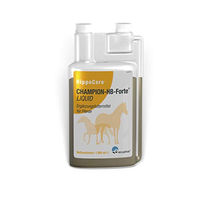 Produktbild von Ecuphar HippoCare Champion-HB-Forte Liquid Nahrungsergänzung für Fohlen zur Unterstützung des Muskelaufbaus 1L - 1 l