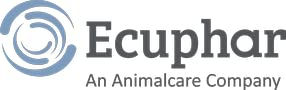 Ecuphar HippoCare Painless Liquid 1 l Flüssiges Ergänzungsfuttermittel für Pferde zur Unterstützung der Gelenke und Knochen - 1 l – Bild 1 von 2