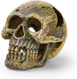 Produktbild von Eden Totenkopf Figur und Höhle für Fische in Beige Grau Braun