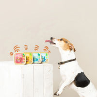 Produktbild von Edgard & Cooper Bio Hundefutter Truthahn getreidefrei 17x100g