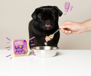 Edgard & Cooper Hundepaté Wild und Ente Adult Getreidefrei und Glutenfrei 11 x 150 g – Bild 1 von 5