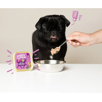 Produktbild von Edgard & Cooper Hundepaté Wild und Ente Adult Getreidefrei und Glutenfrei 11 x 150 g