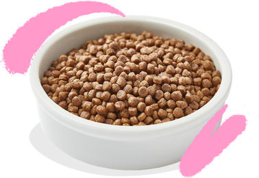 Edgard & Cooper Kitten Nassfutter Ente und Huhn 2 x 2 kg – Bild 1 von 3