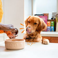 Produktbild von Edgard & Cooper Nassfutter für erwachsene Hunde Huhn und Truthahn mit Stückchen in Sauce getreidefrei und glutenfrei 6 x 400 g
