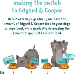 Edgard & Cooper Nassfutter für Senior Hunde Huhn & Lachs Stückchen in Sauce getreidefrei glutenfrei ohne Zucker 11 x 150 g – Bild 1 von 3