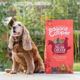 Edgard & Cooper Trockenfutter Hund Adult Frisches Freilaufhuhn und Norwegischer Lachs Getreidefrei 2x12 kg - 2 x 12 kg – Bild 1 von 2
