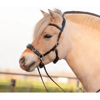 Produktbild von Edix Saddles Caveçon für Pferde ED5 Pro aus Leder in Schwarz