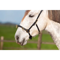 Produktbild von Edix Saddles Caveçon für Pferde Schwarz Größe M