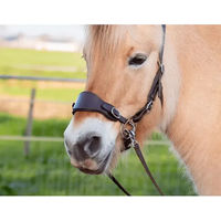 Produktbild von Edix Saddles Classic Reithalfter