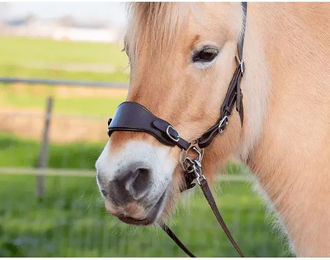 Edix Saddles Classic Reithalfter – Bild 1 von 1