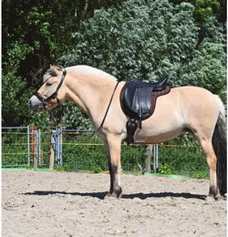 Produktbild von Edix Saddles Contour Dressur Schabracke Braun