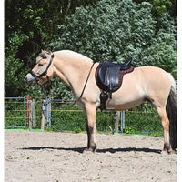 Produktbild von Edix Saddles Contour Dressur Schabracke Braun