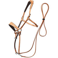 Produktbild von Edix Saddles ED1-Rose Gebisslose Trense aus Leder für Pferde in Rosa